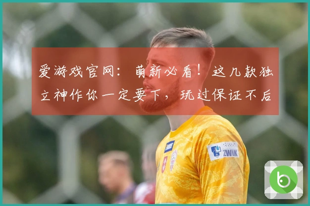 爱游戏官网：萌新必看！这几款独立神作你一定要下，玩过保证不后悔！